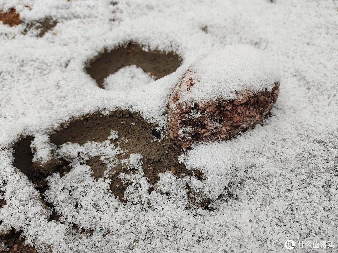 手机摄影|雨夹雪下的公园随拍记录