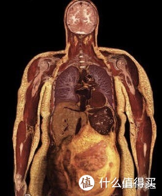 对症下药!4个动作解决顽固小肚子!