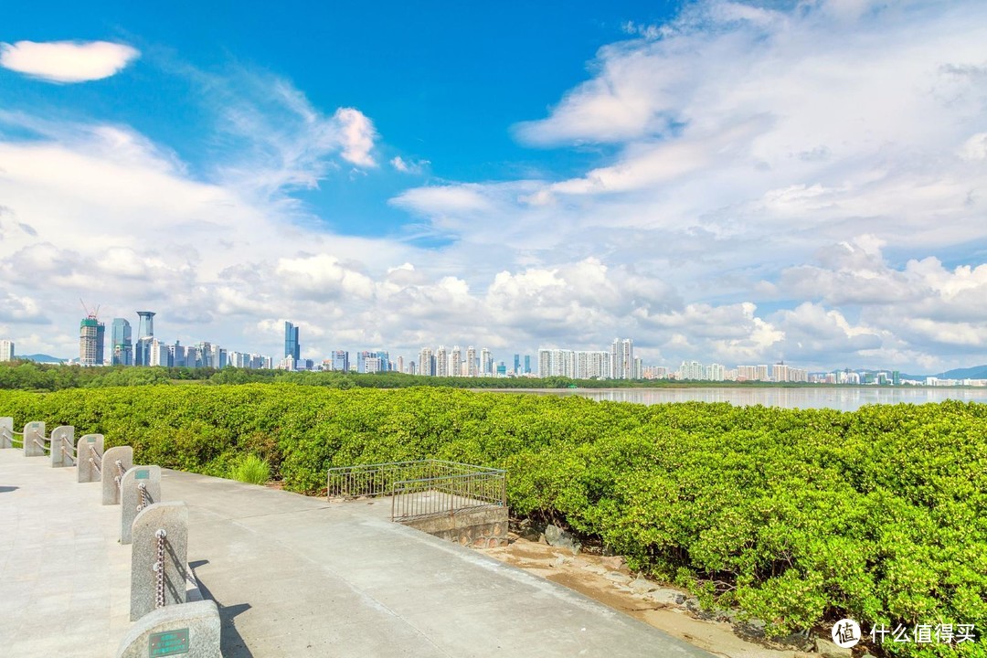 游遍粤港澳大湾区---深圳篇