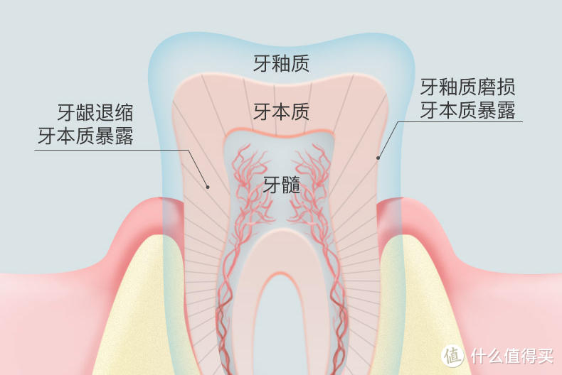 一个牙龈患者的脱敏牙膏挑选记录！请珍惜你的一口好牙