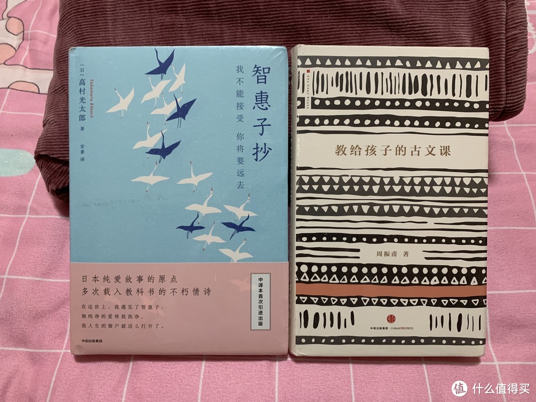 图书馆猿の2021读书计划13：《教给孩子的古文课》&《智惠子抄 我不能接受,你将要远去》