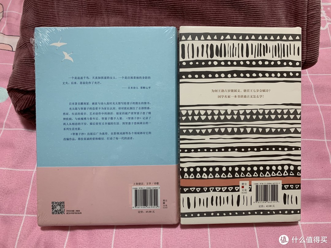 图书馆猿の2021读书计划13：《教给孩子的古文课》&《智惠子抄 我不能接受,你将要远去》