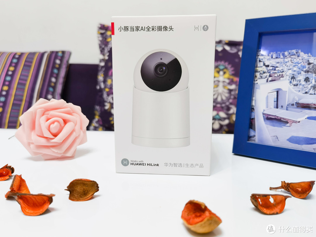 我的看家好助手 小豚当家ai全彩摄像头使用体验 智能摄像机 什么值得买