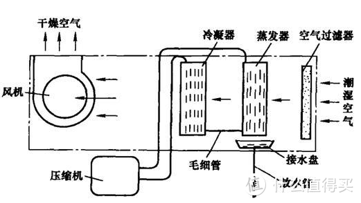 湿冷初春过完又是梅雨季，防潮除湿该怎么办？