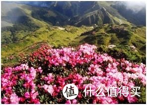 在家体验登山一样的运动感受搏飞复合椭圆机M5