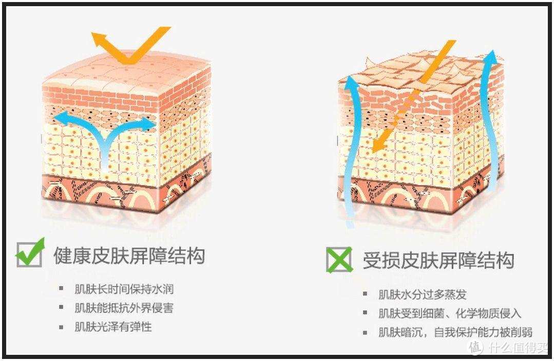 谁说野火烧不尽，战痘经验值万金！