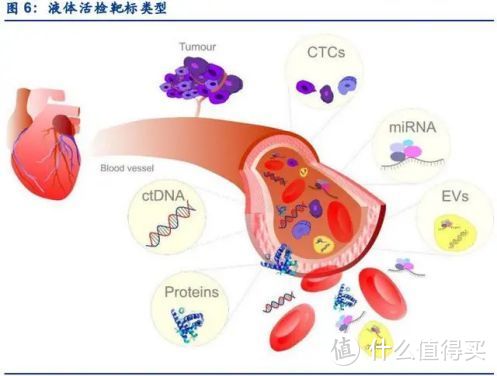 95%的体检都查不出癌症：癌症早筛是真有用，还是智商税？