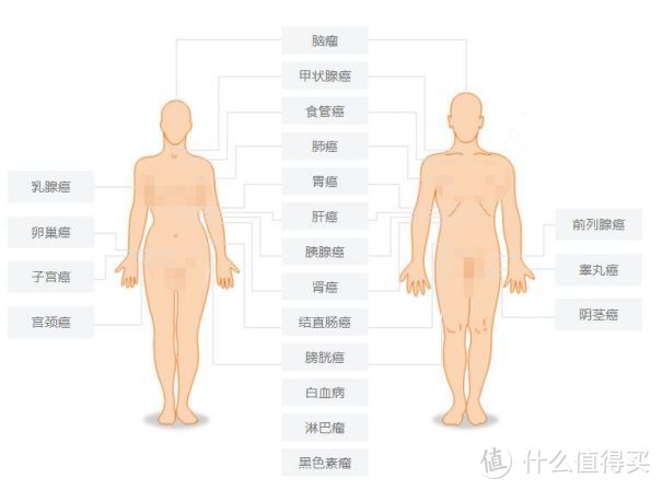 95%的体检都查不出癌症：癌症早筛是真有用，还是智商税？