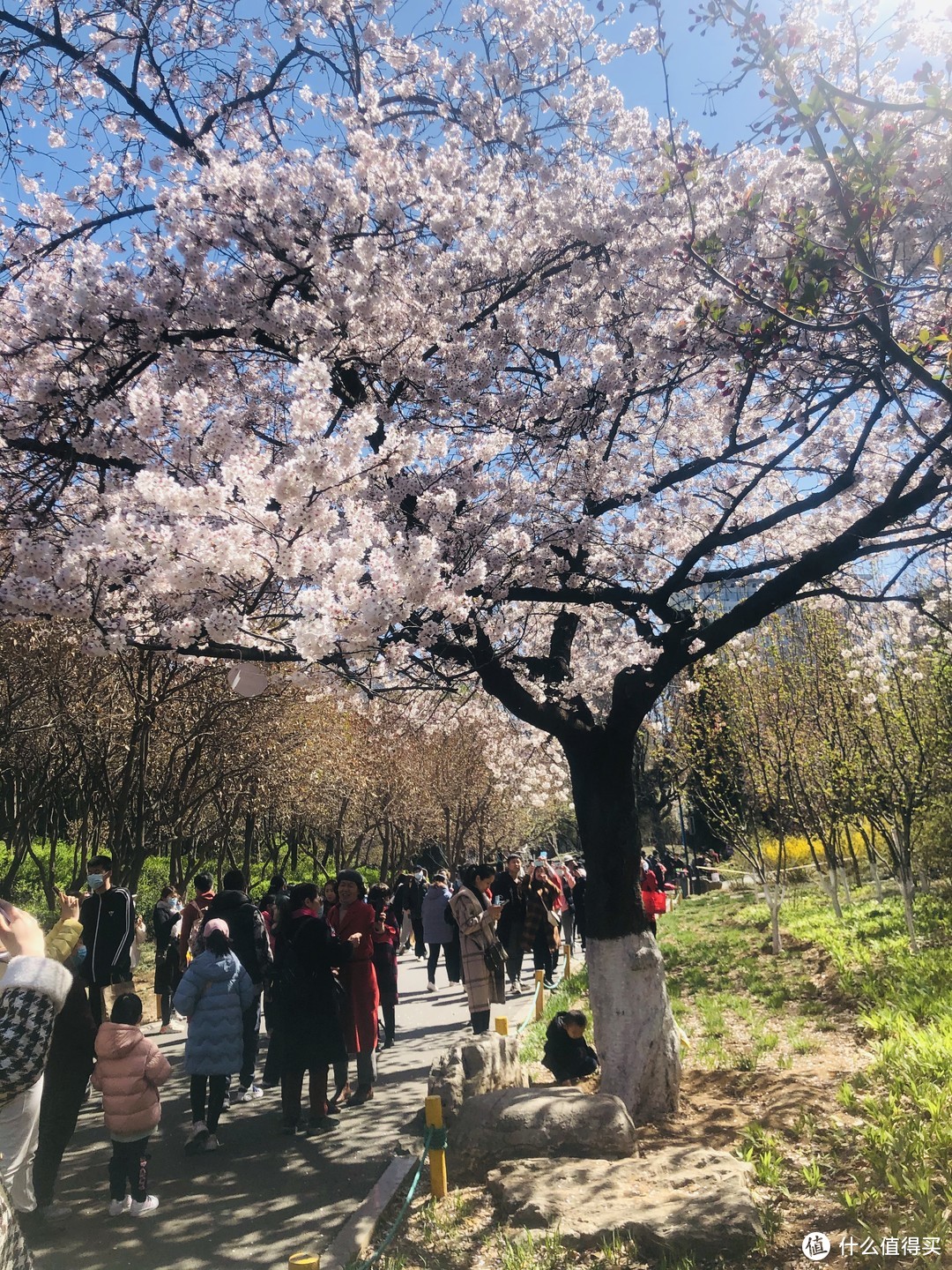 带娃近距离游玩，这几样小东西要备齐，不花冤枉钱还能玩尽兴