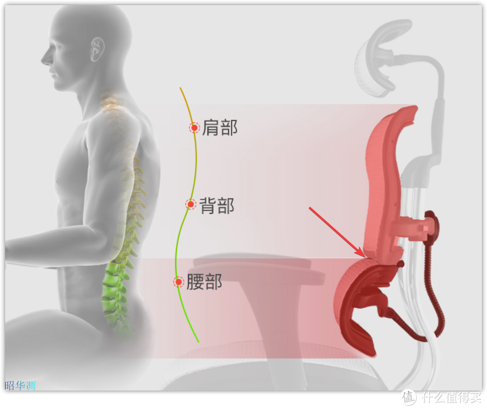 一文看懂人体工学椅选购要点，市面主流千元以内人体工学椅优劣之我见