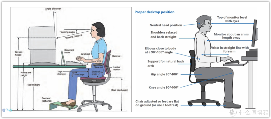 一文看懂人体工学椅选购要点，市面主流千元以内人体工学椅优劣之我见
