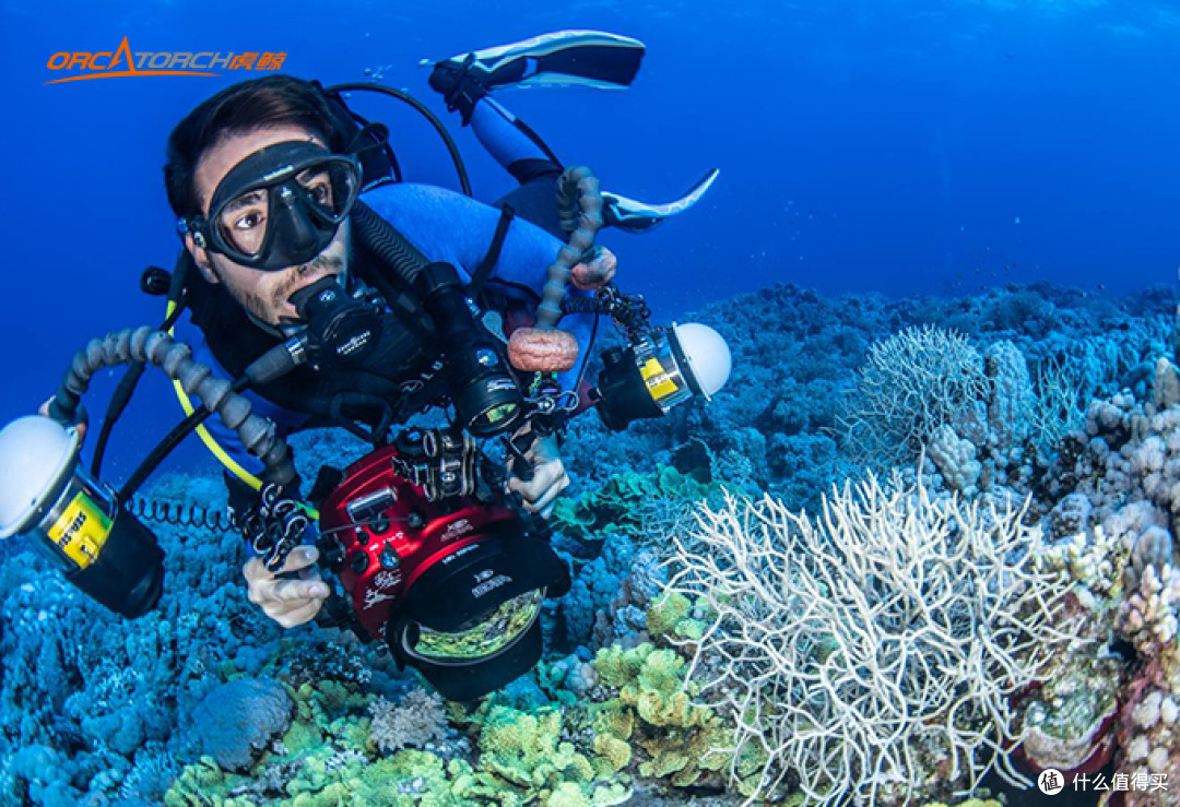 如何用潜水灯拍出水下摄影优秀作品丨orcatorch潜水_游泳_什么值得买