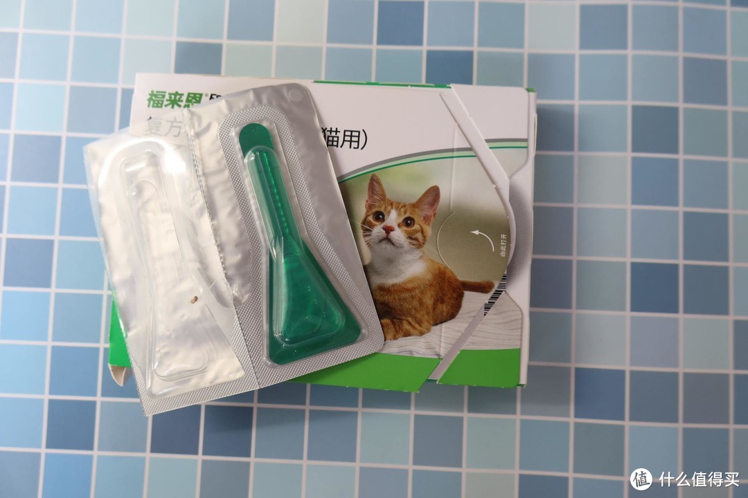 养猫猫的快乐只有养了才知道——六样好物伺候好主子