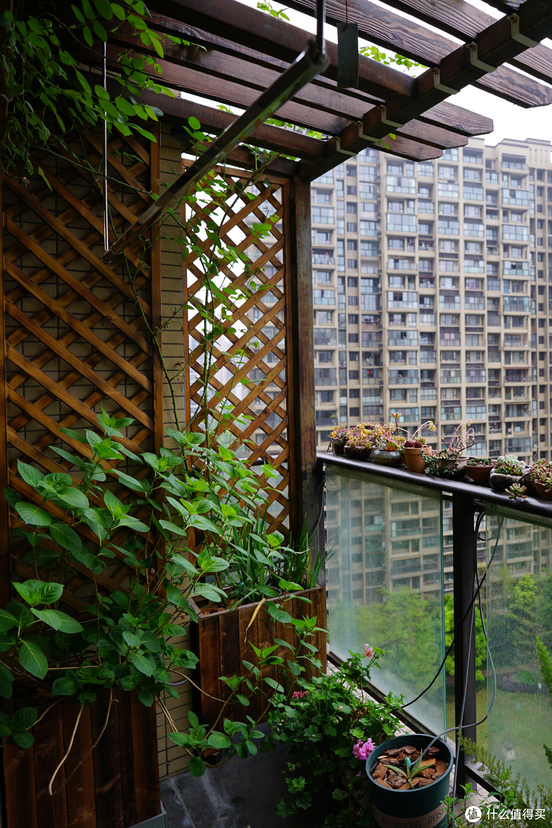 高层住宅如何打造秘密花园 阳台篇