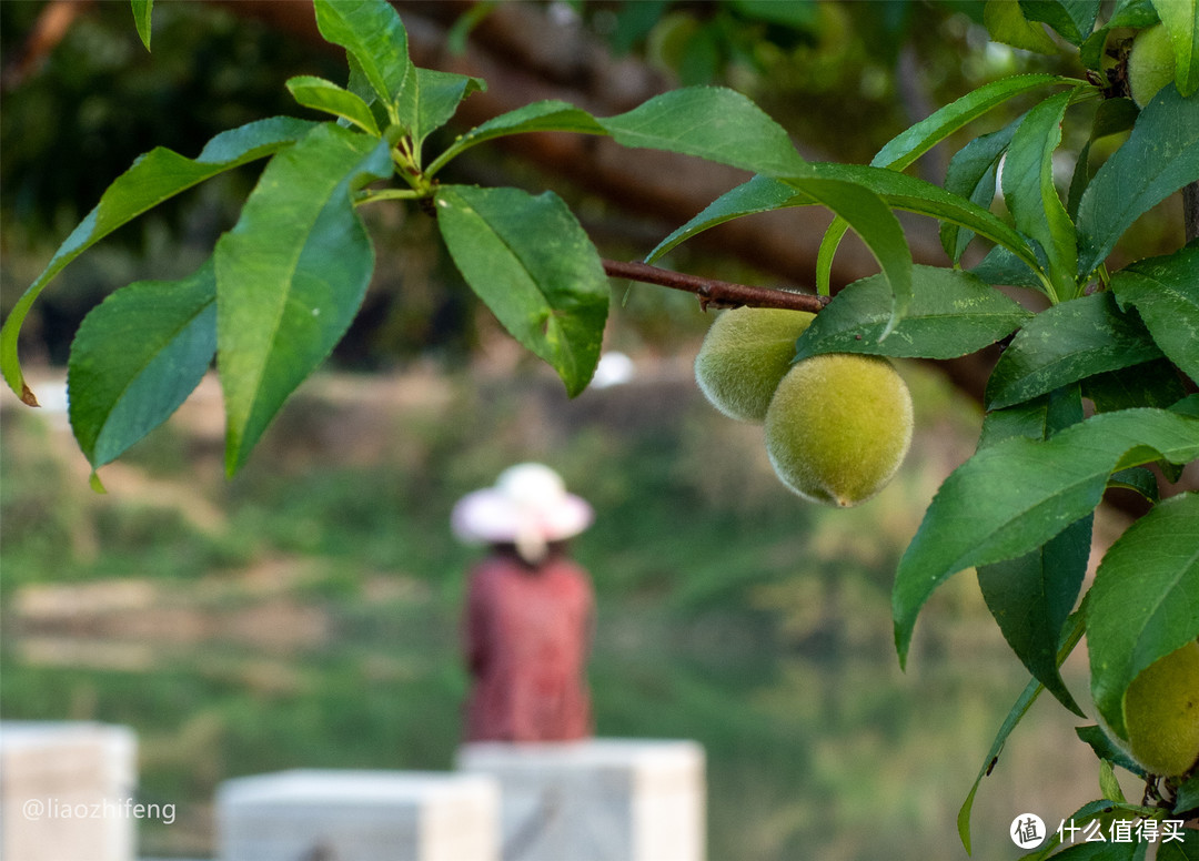 对于299的镜头，你有什么期待？记aps-c 35f1.4