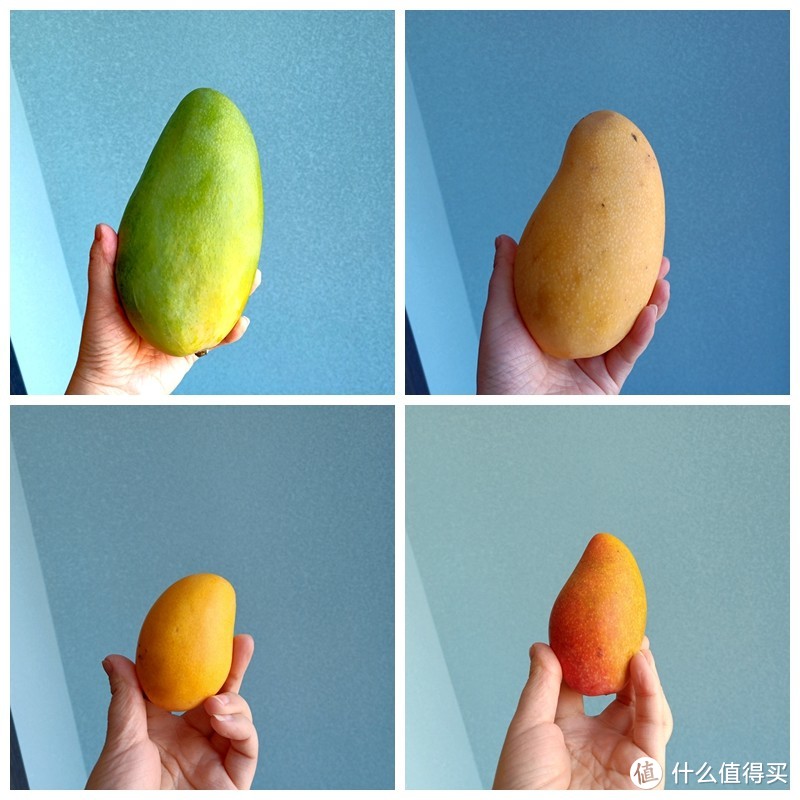 哪种芒果最好吃？酷爱芒果的吃货亲测，网友：涨知识了