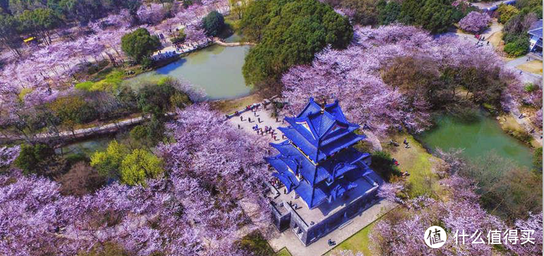 最适合春天旅行的城市推荐！带着你的地平线8号行李箱出去浪吧！