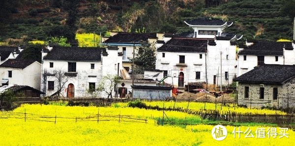 最适合春天旅行的城市推荐！带着你的地平线8号行李箱出去浪吧！