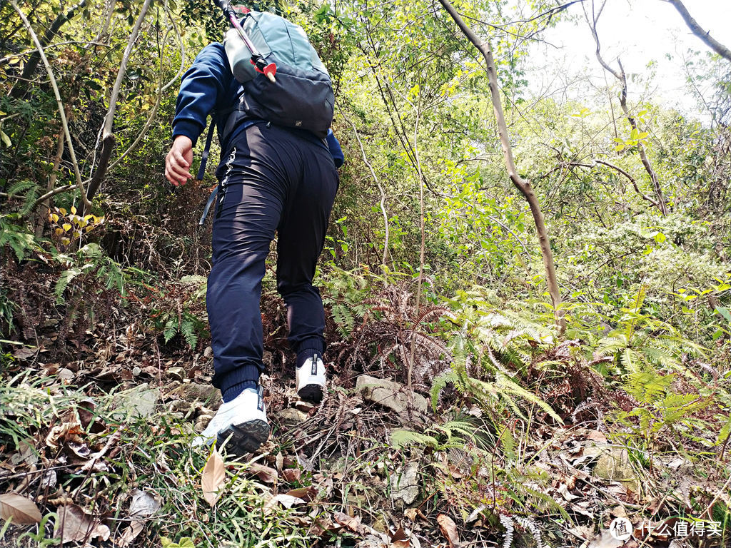 轻松户外：deuter多特AC LITE萤火虫徒步背包体验