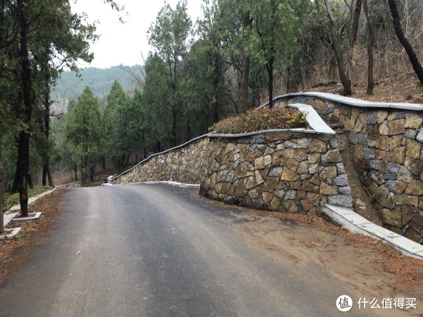 步行走的盘山公路行车道上去，然后走石头步道下山，路边的石墙挺有意思的，给树做了一个小岛。