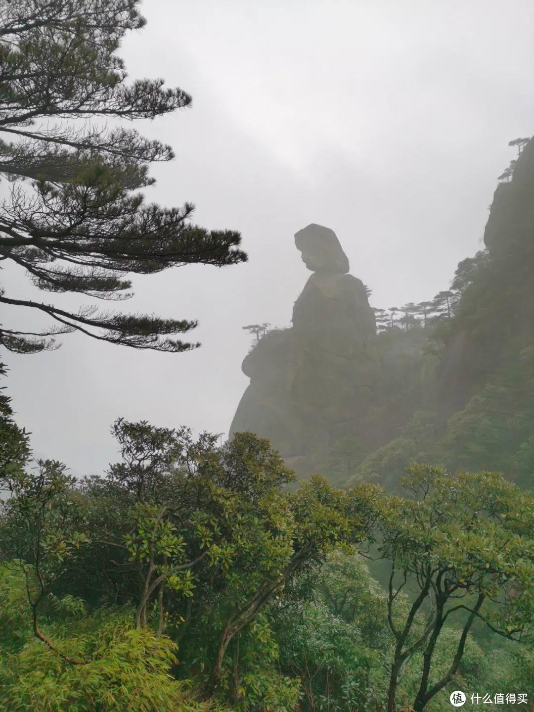 被誉为“西太平洋边缘最美丽的花岗岩”，千奇百怪的石峰让你一次看个够，三清山一日游