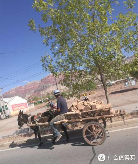 偶遇驴拉砖车