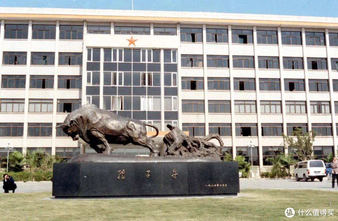 大象一脸正经胡说八道，风水姿势大普及和免费快速上手学习视频推荐