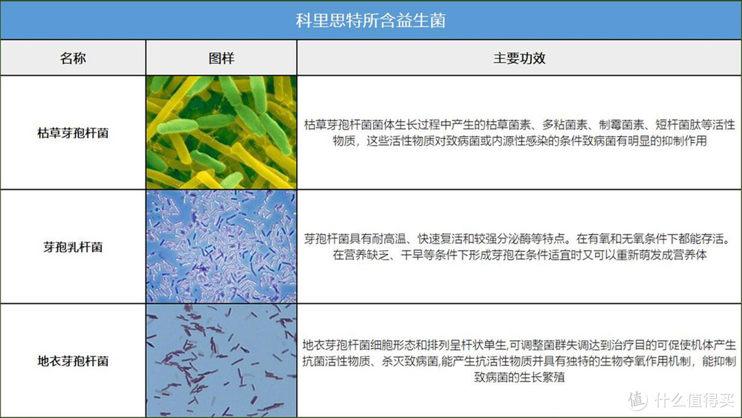 抑制真菌，关爱健康——提升幸福感的小小喷雾