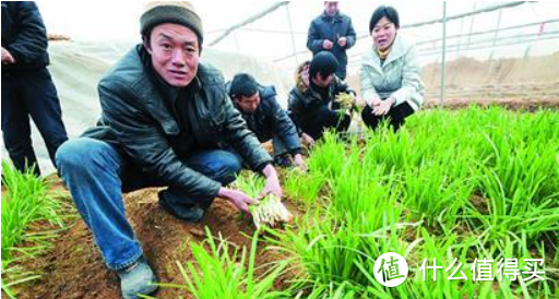 当初想靠养鸡赚点生活费，现在生活费最大的开支就是养鸡