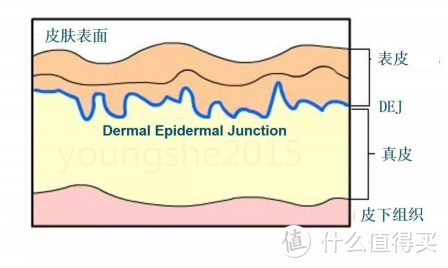 皮肤天然调节剂：三肽-1GHKTripeptide-1是什么