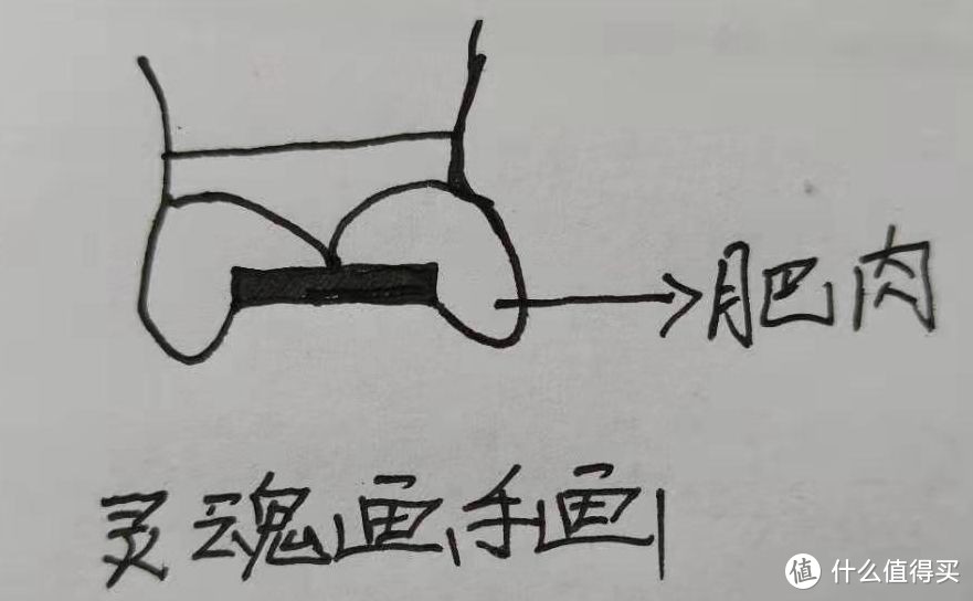 透气更舒爽，久坐不累腰！人体工学座椅西昊M57体验