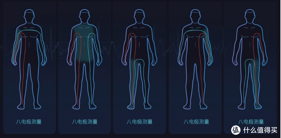 我的成分它知道——云康宝智能体脂称开箱