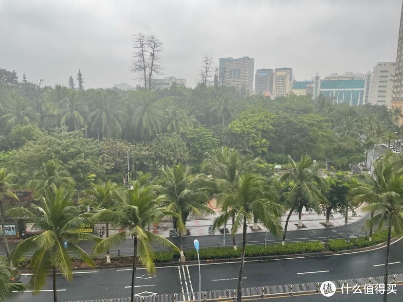 酒店窗外的公园，第二天下雨了。