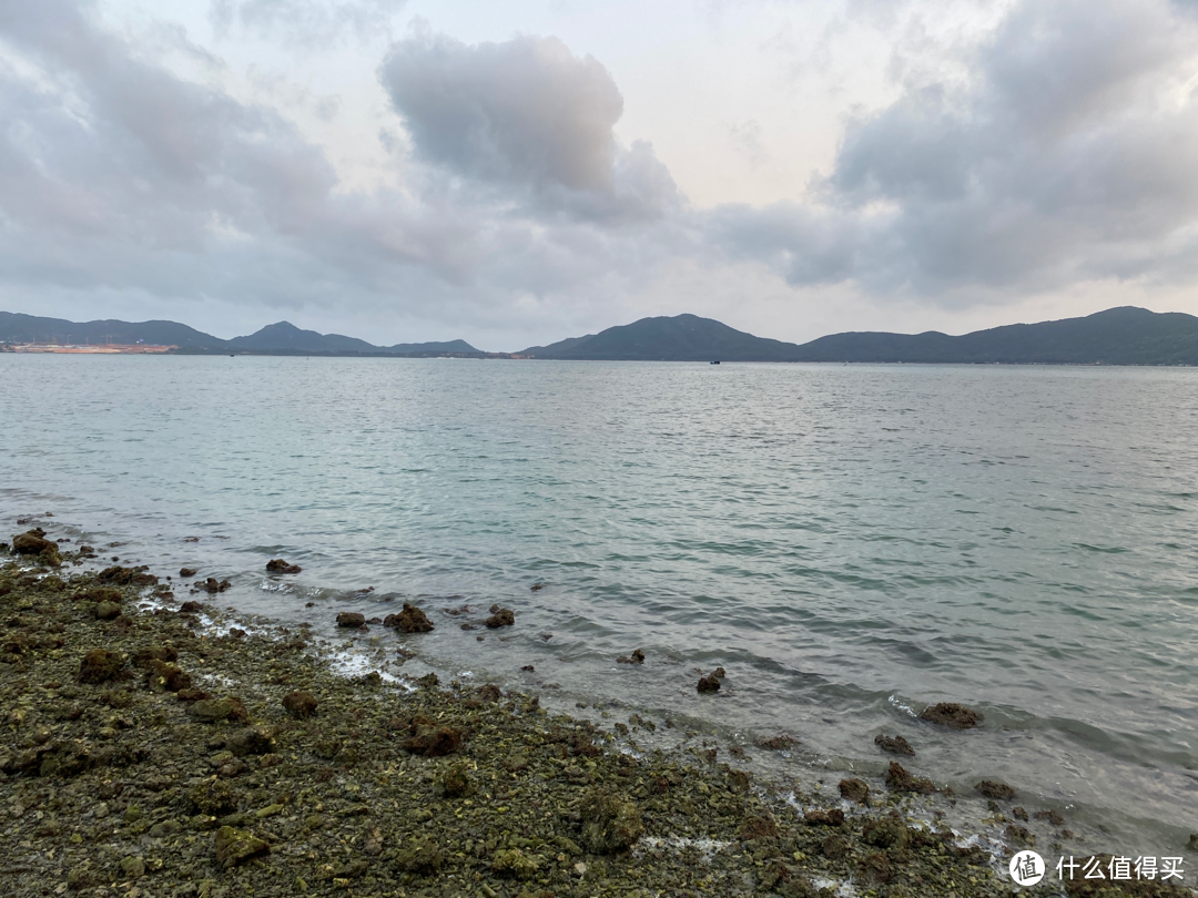 海南免费摸花蛤景点：陵水县新村镇海边退潮摸花蛤，享受免费花蛤大餐