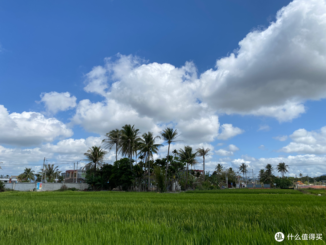 海南免费摸花蛤景点：陵水县新村镇海边退潮摸花蛤，享受免费花蛤大餐