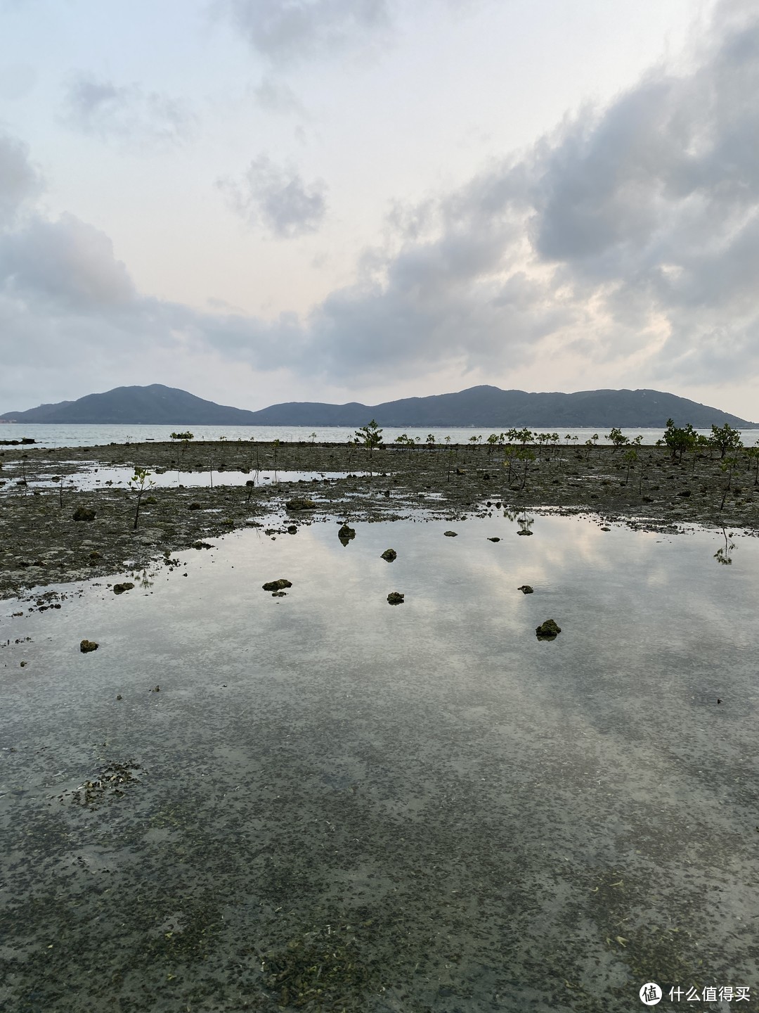 海南免费摸花蛤景点：陵水县新村镇海边退潮摸花蛤，享受免费花蛤大餐