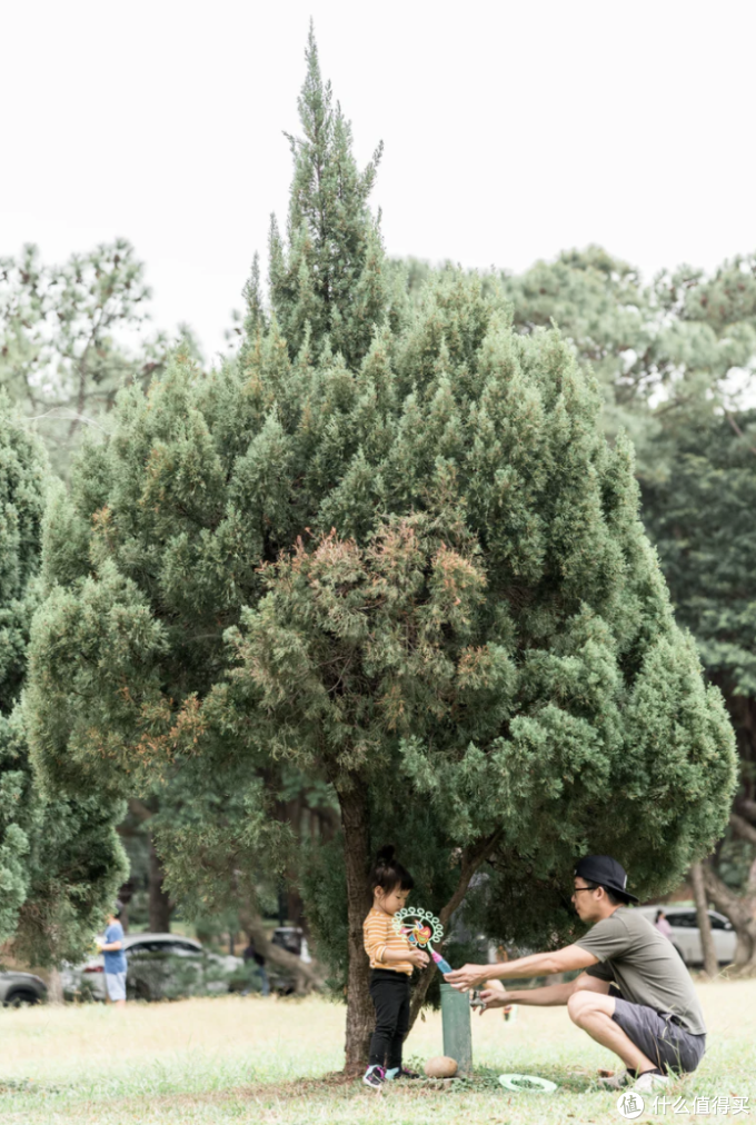 育儿园:春末夏初孩子感受大自然的最佳时节,小长假带娃自驾出行全攻略来啦