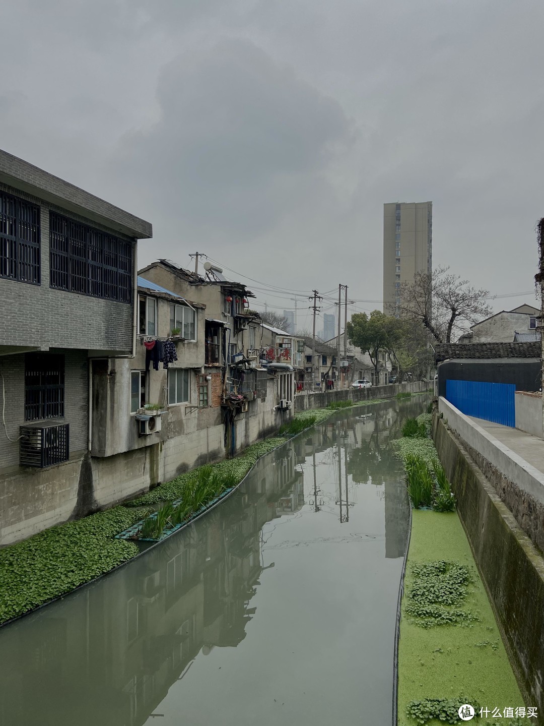 【春日赏樱·美照放送】学梁朝伟说飞就飞，深圳无锡一天一夜游