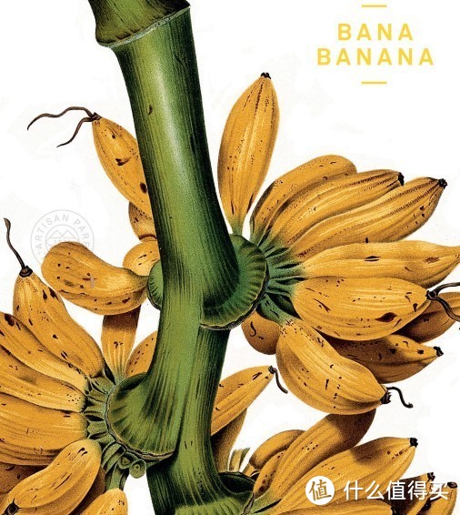 阿蒂仙 巴拿香蕉（芭蕉狂想曲）唯一一款香蕉味香水  