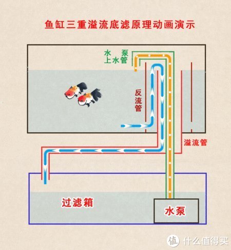 网图-底滤缸原理