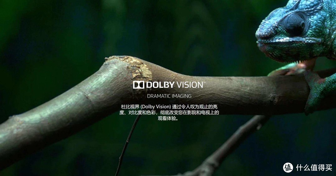 简单3步，让你的PC解码杜比视界（Dolby Vision）4K视频