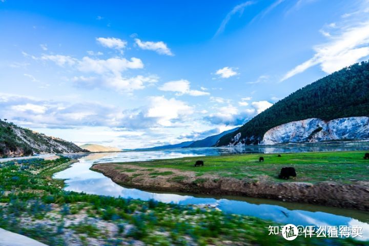 爆火的《司藤》取景地，这怕不是云南旅游的宣传片吧！