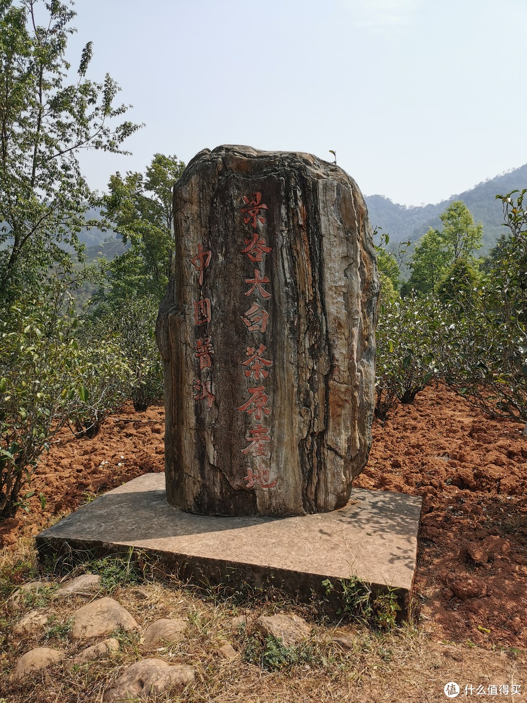 秧塔“景谷大白茶”原产地标志