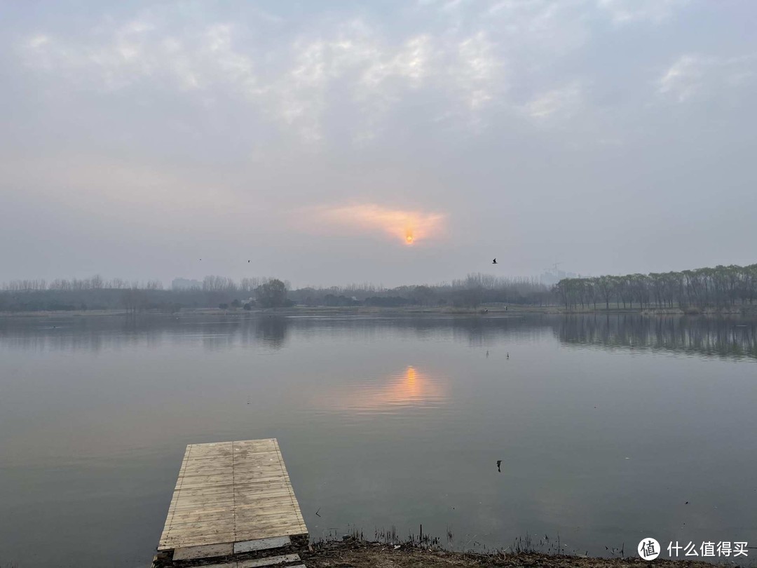 值友带我免费体验索十万打鸟的乐趣—记唐山南湖拍鸟活动