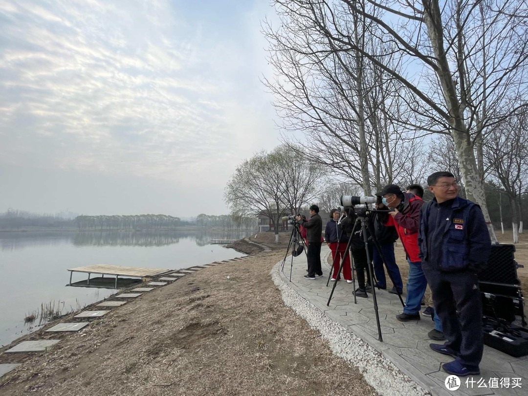 值友带我免费体验索十万打鸟的乐趣—记唐山南湖拍鸟活动