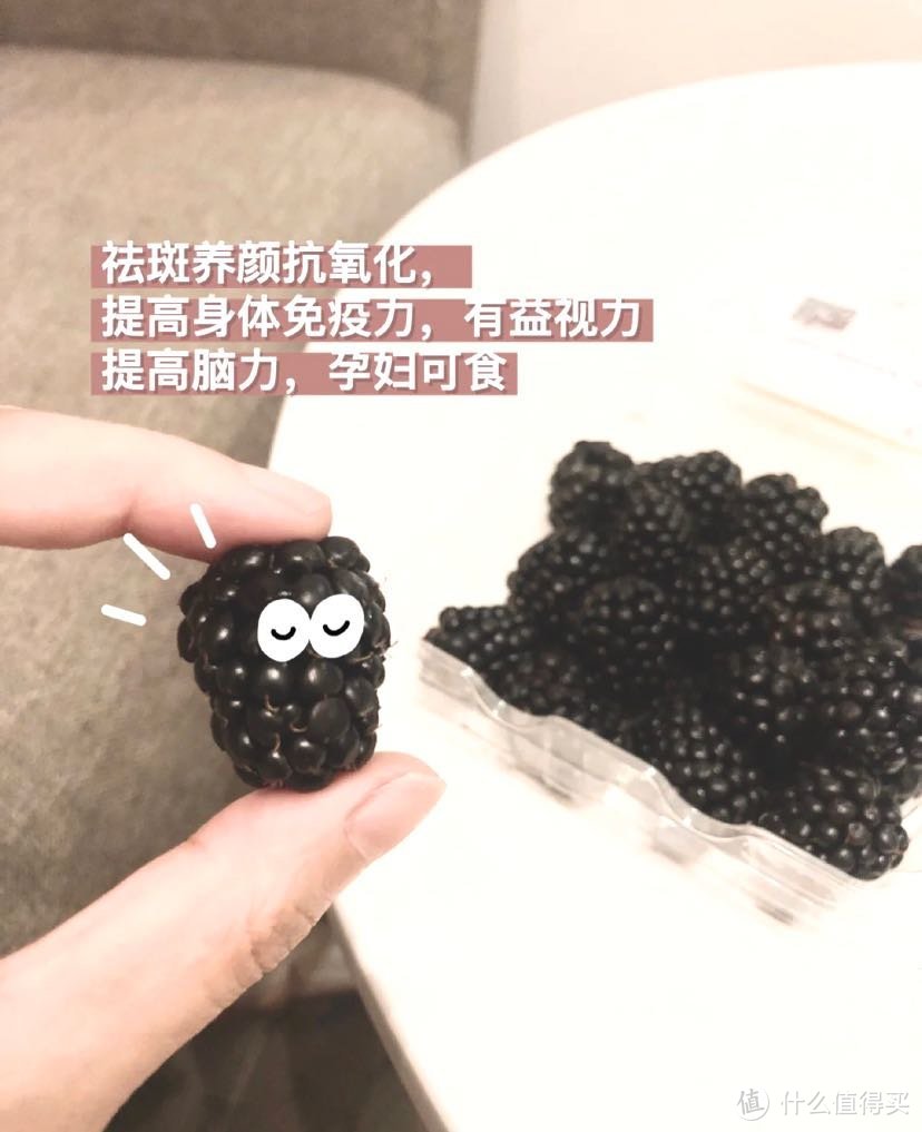 黑莓｜一种被低估的小众水果超值推荐！