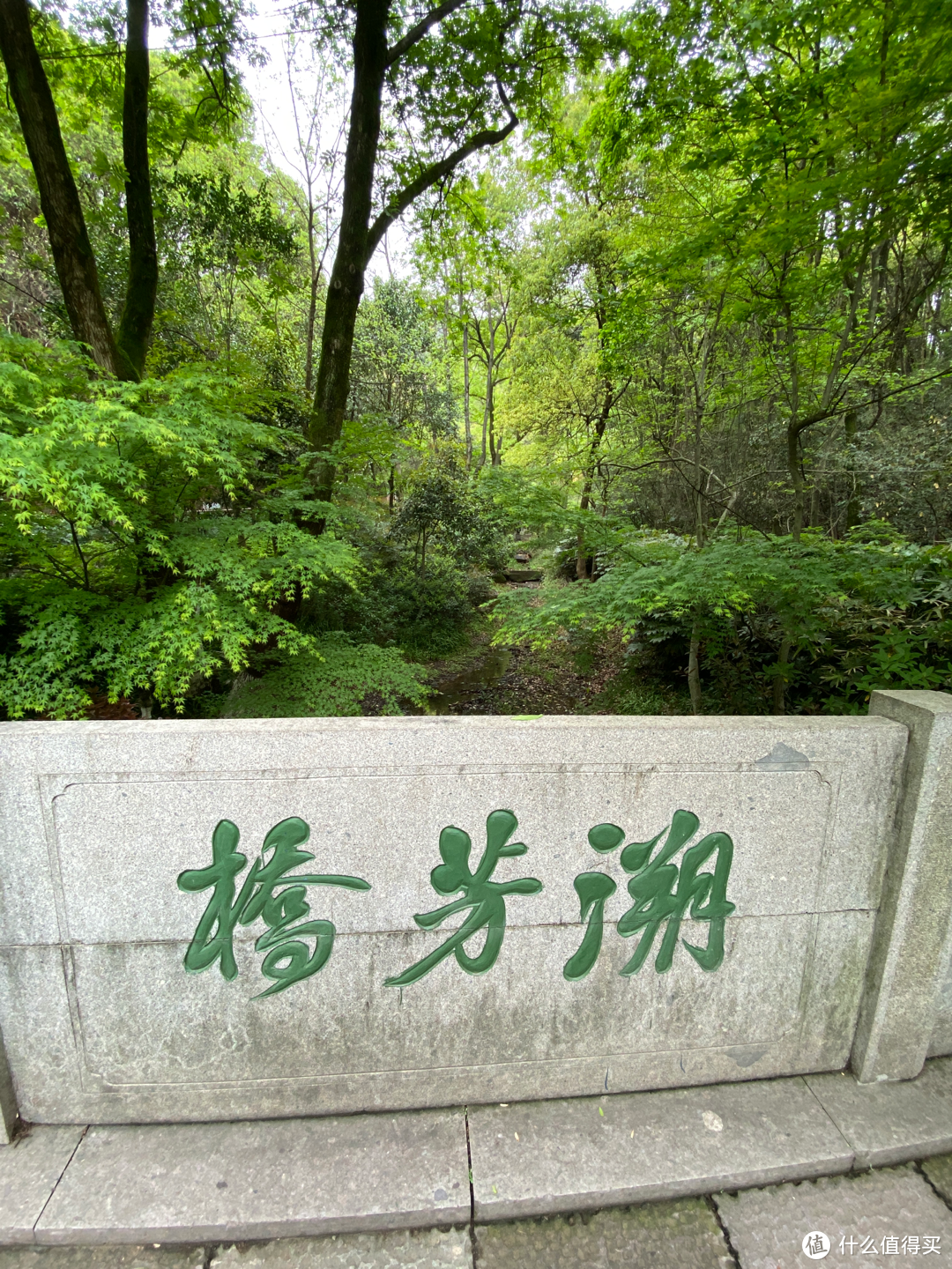 杭州旅游：半山国家森林公园清明踏青