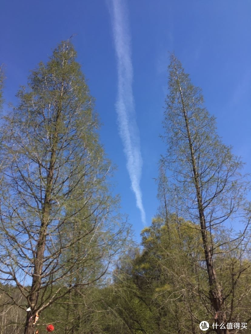 清泉寺在马陵山东侧，去的路上需要走一段盘山路。承载着我们仨人的小车依然非常轻松就越过了山坡。小mini不只是市区代步，单程七八十km的自驾游也是没有压力的。 天空晴朗，飞机路过的痕迹在空中晕开。