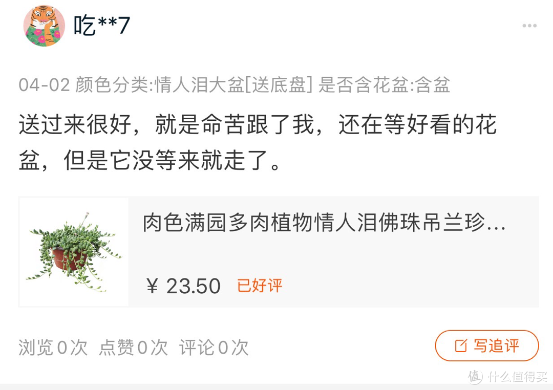 我一直在想一个事情，为什么阳台改造都改造成花园？