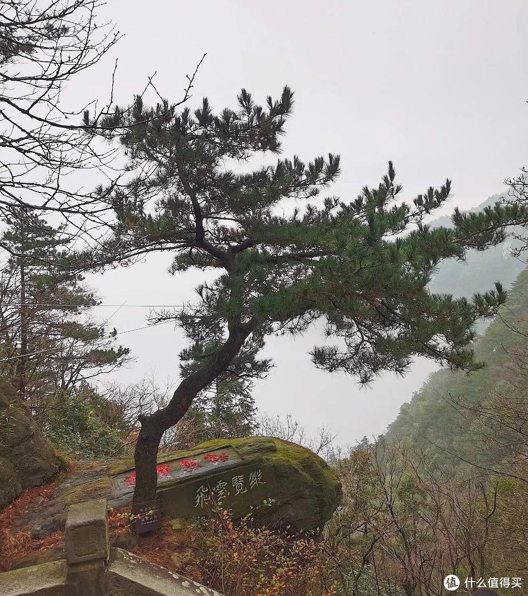 不识庐山真面目，只缘身在雾海中，庐山两日游